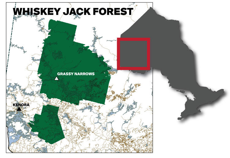 What B.C.’s environmental accord means for Grassy Narrows TVO Today